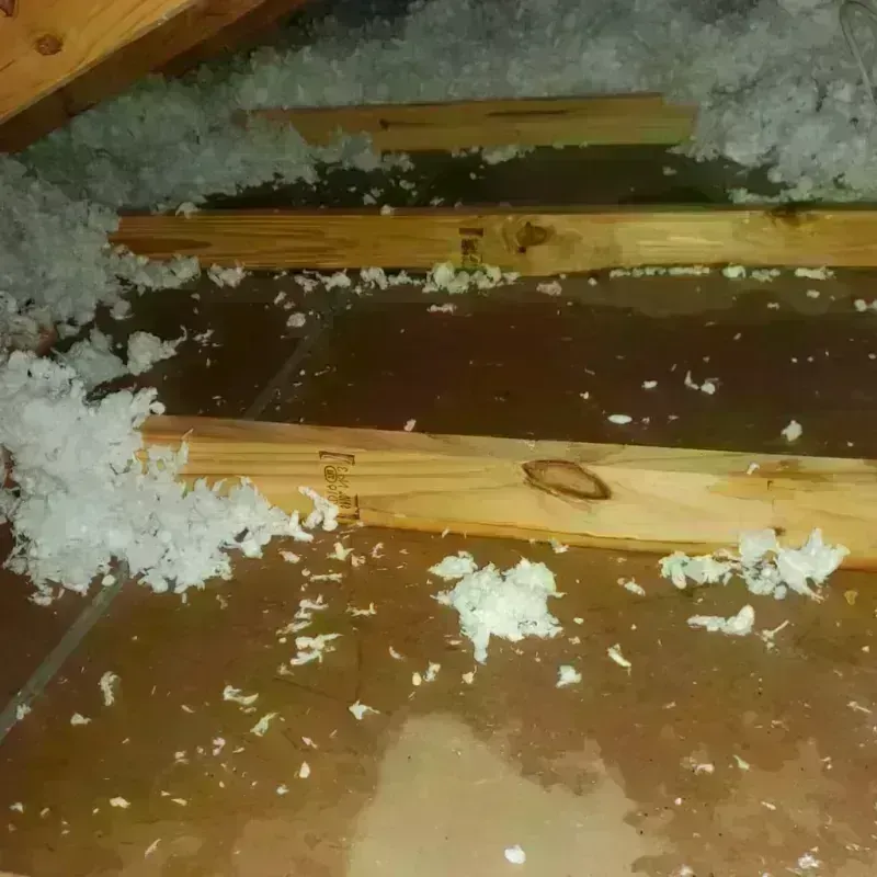 Attic Water Damage in Vandenberg Village, CA